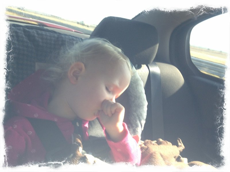 IMG_0031.JPG - Travelin' girl