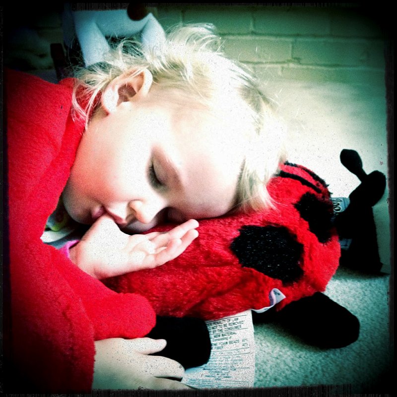 IMG_0200.JPG - Sleeping beauty