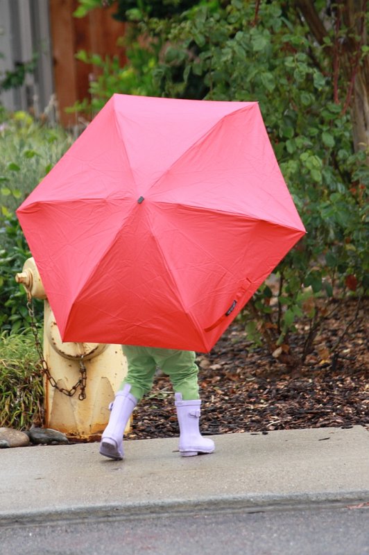 IMG_1331.jpg - Rainy days and puddle jumping