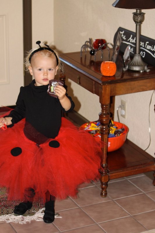 IMG_2060.jpg - Halloween Ladybug