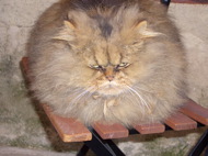  Tourettes medieval town.