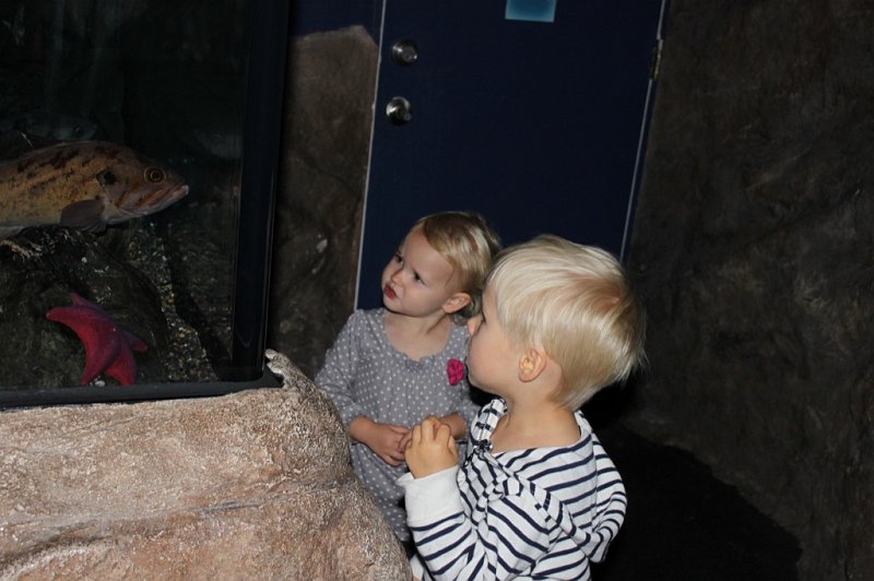 IMG_1166.JPG - "Hello Mr. Fish. How are you today?"