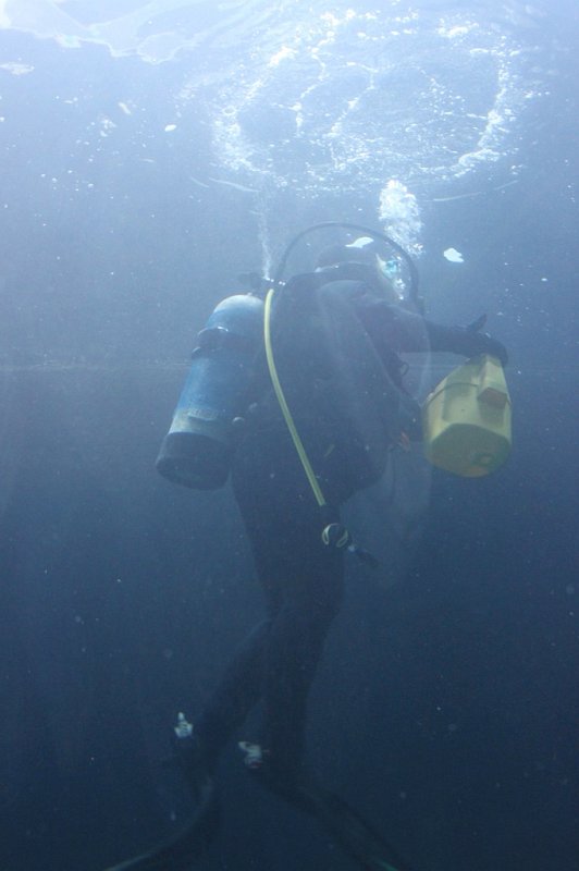 IMG_1171.jpg - Camille loved seeing the scuba diver knowing that her daddy is also a diver