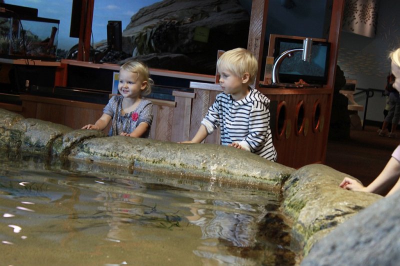 IMG_1187.JPG - Not sure about touching the sea animals