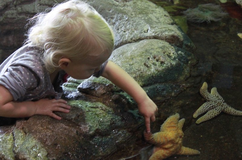 IMG_1192.JPG - She finally worked up the courage and was so excited!