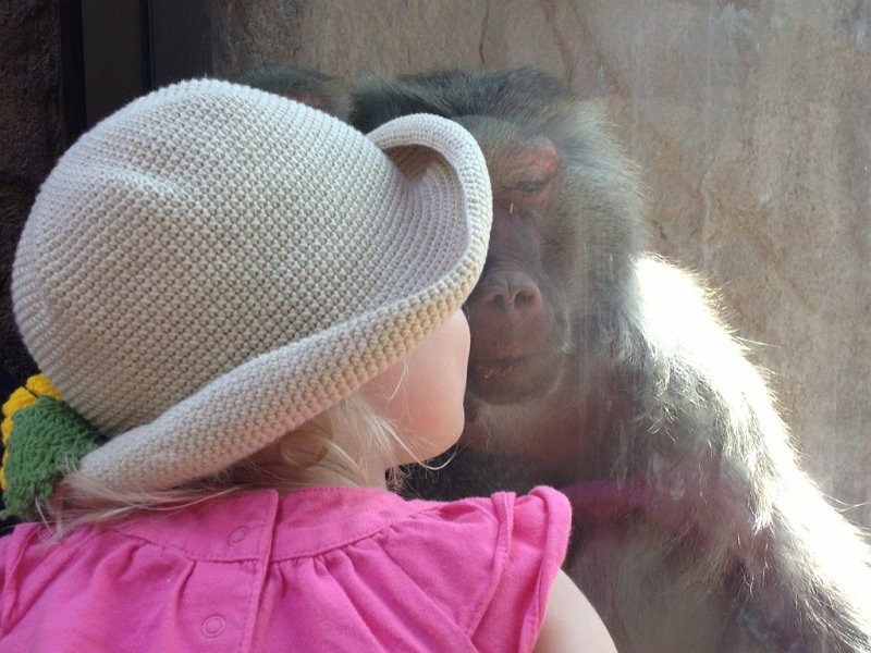 IMG_0550.JPG - So she gave them each a kiss