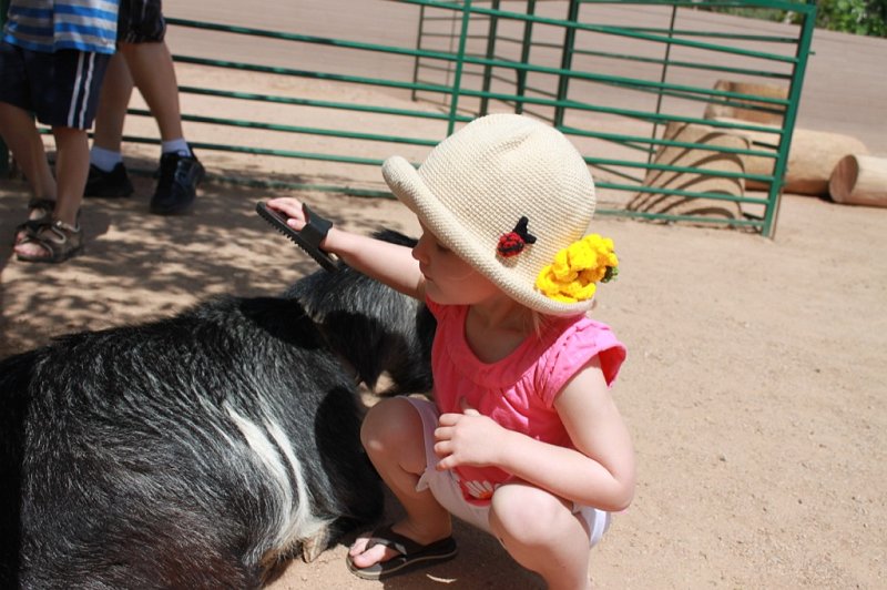 IMG_3371.JPG - Petting zoo