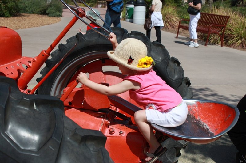 IMG_3376.JPG - Tractor driving