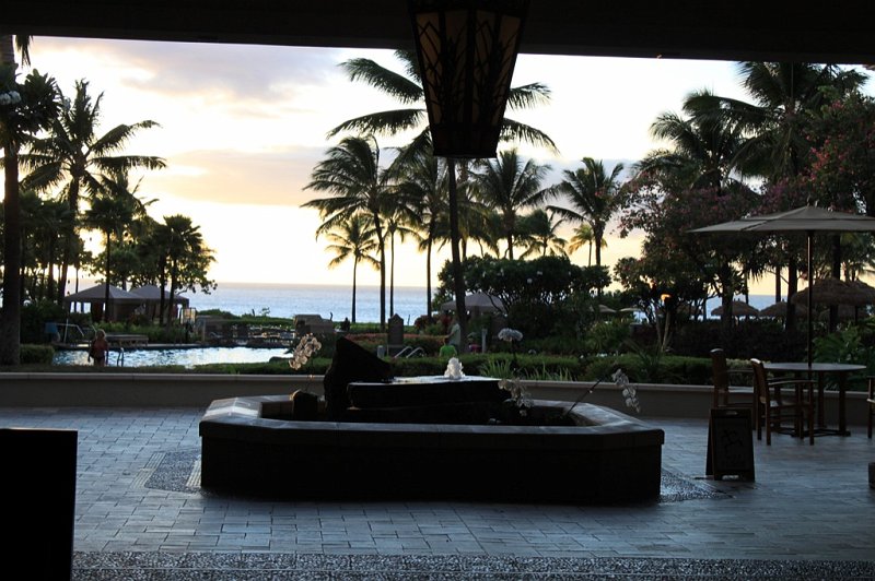 IMG_1386.JPG - Our view as we walked into the lobby at the Westin Ocean Villas