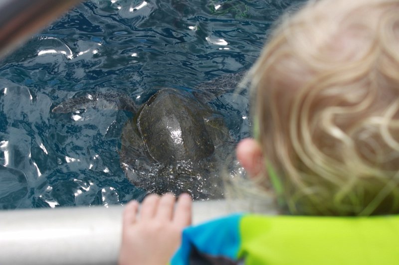 IMG_1505.JPG - So exciting!!