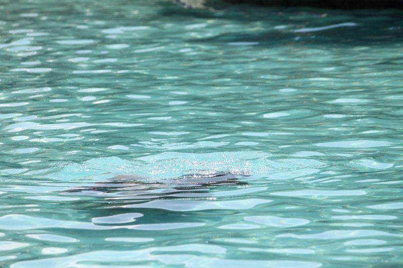 IMG_1898.JPG - Camille and mommy under water!