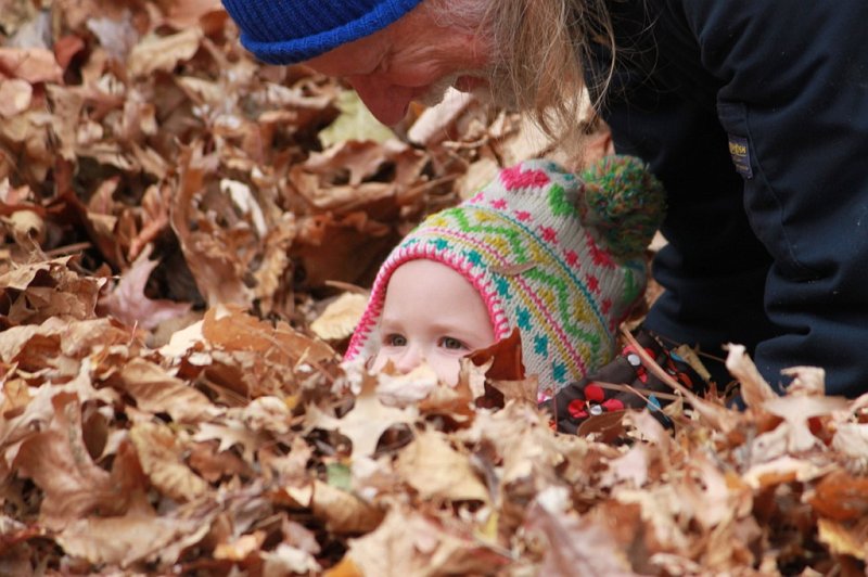 IMG_2122.JPG - KerPlunk! Into the leaf pile Grandpapa made her!