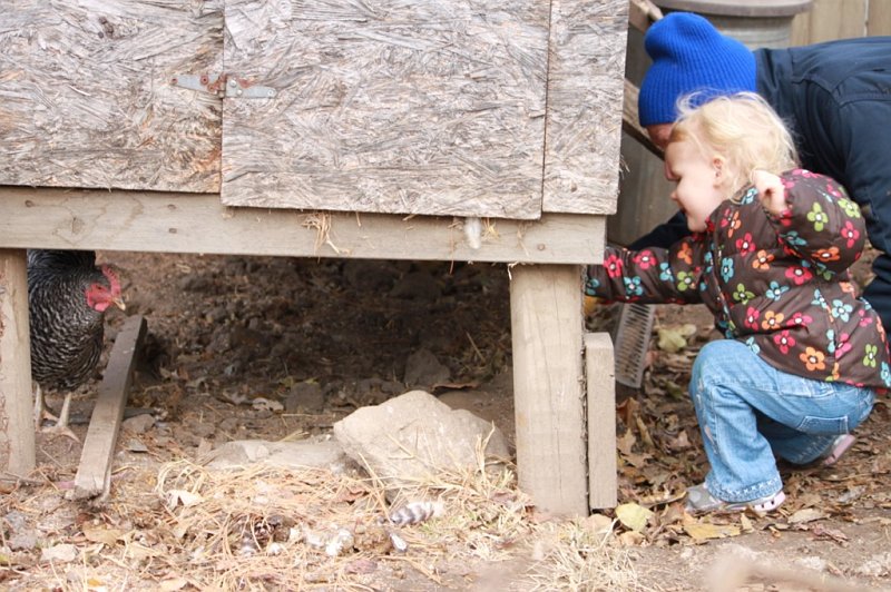 IMG_2197.JPG - Come here chickie!