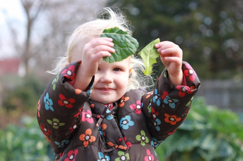 IMG_2209.JPG - Eating fresh lettuce from the garden