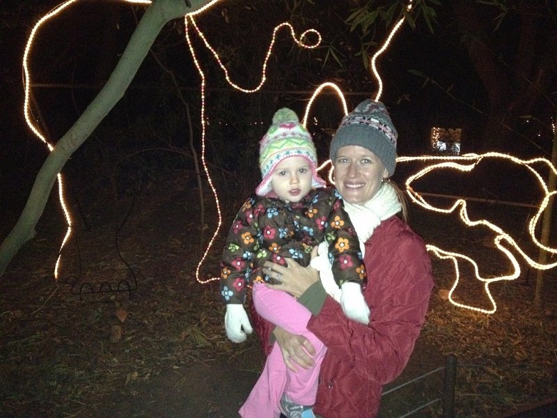 IMG_0409.JPG - Zoo Lights at Micke Grove
