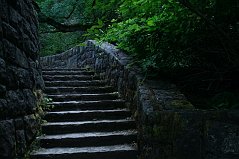 2766095598_0d93737dd3_o