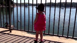 IMG_0098 - Feeding the Ducks at Lake Arrowhead