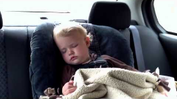 IMG_0094 - Sleeping Beauty