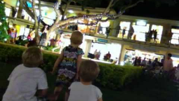 IMG_0251 - Hula Show