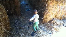 IMG_0146 - Camille in the Maze