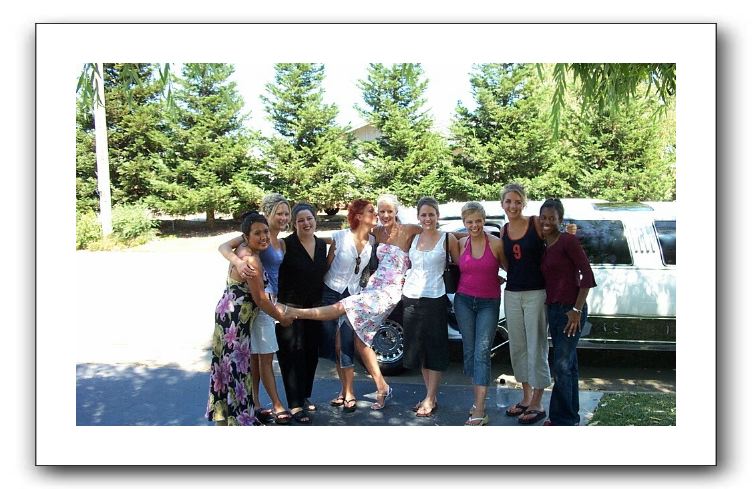 The ladies in waiting and the lady