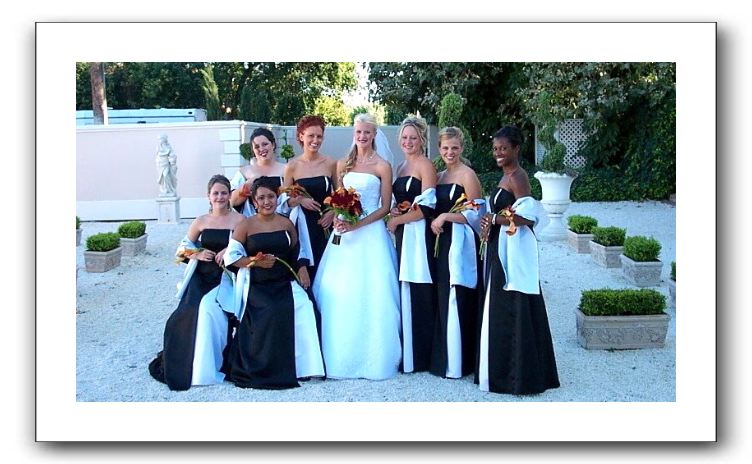 Tara and Bridesmaids